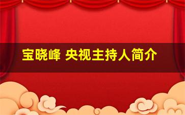 宝晓峰 央视主持人简介